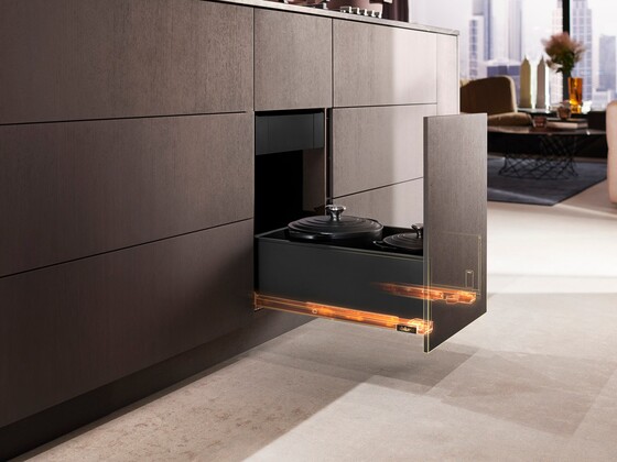 BLUM SPACE TWIN LEGRABOX